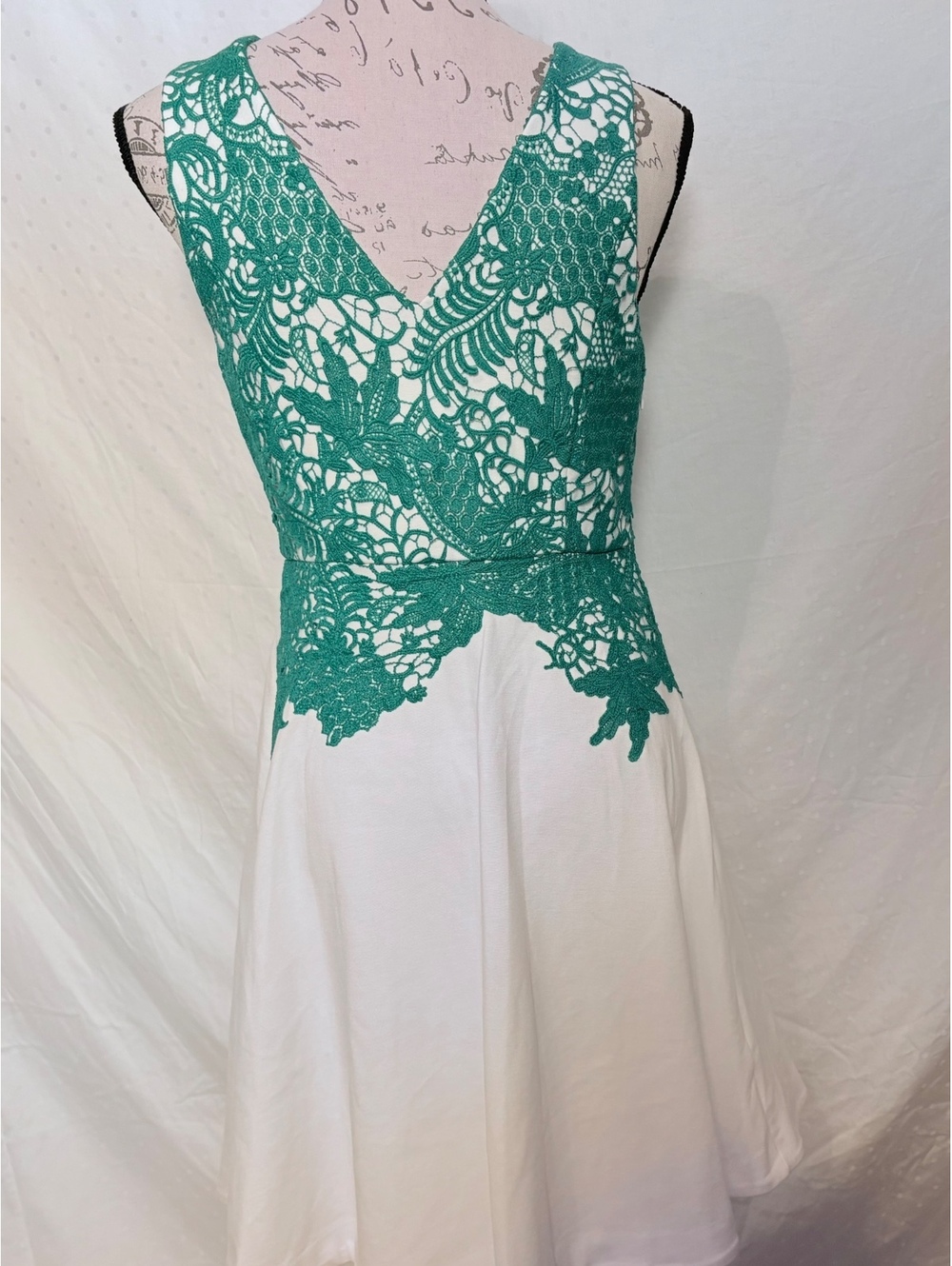 Anthropologie Moulinette Soeurs Arbor Lace Dress Size 6 Green Ivory Fit & Fla